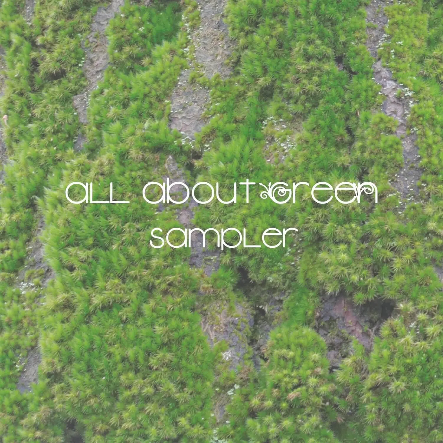 All About Green Sampler
