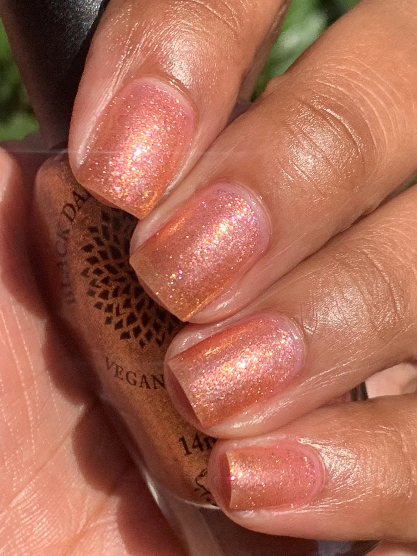 Black Dahlia Lacquer - Winter 2020 - Pyramid of Khufu
