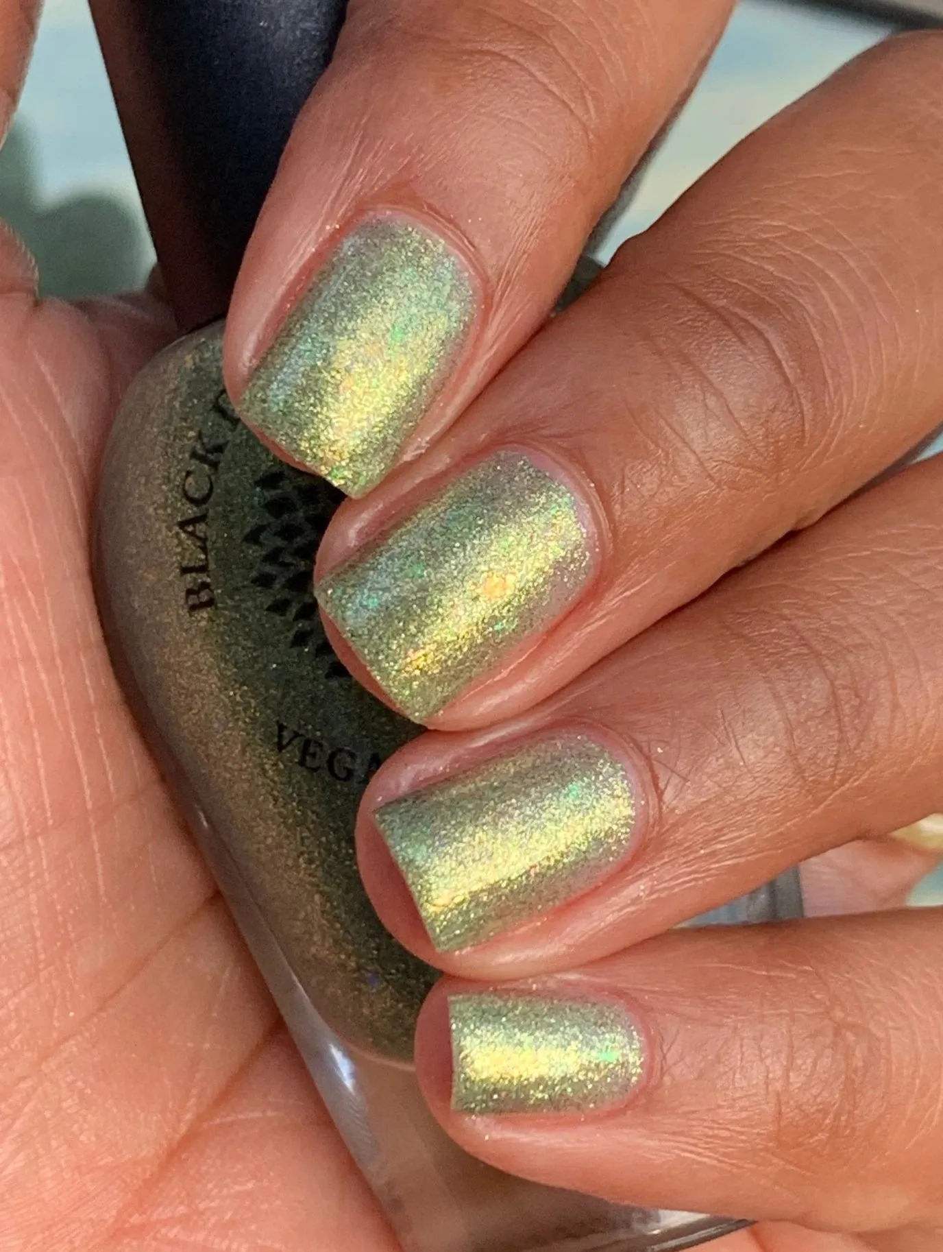 Black Dahlia Lacquer - Winter 2020 - Sphinx