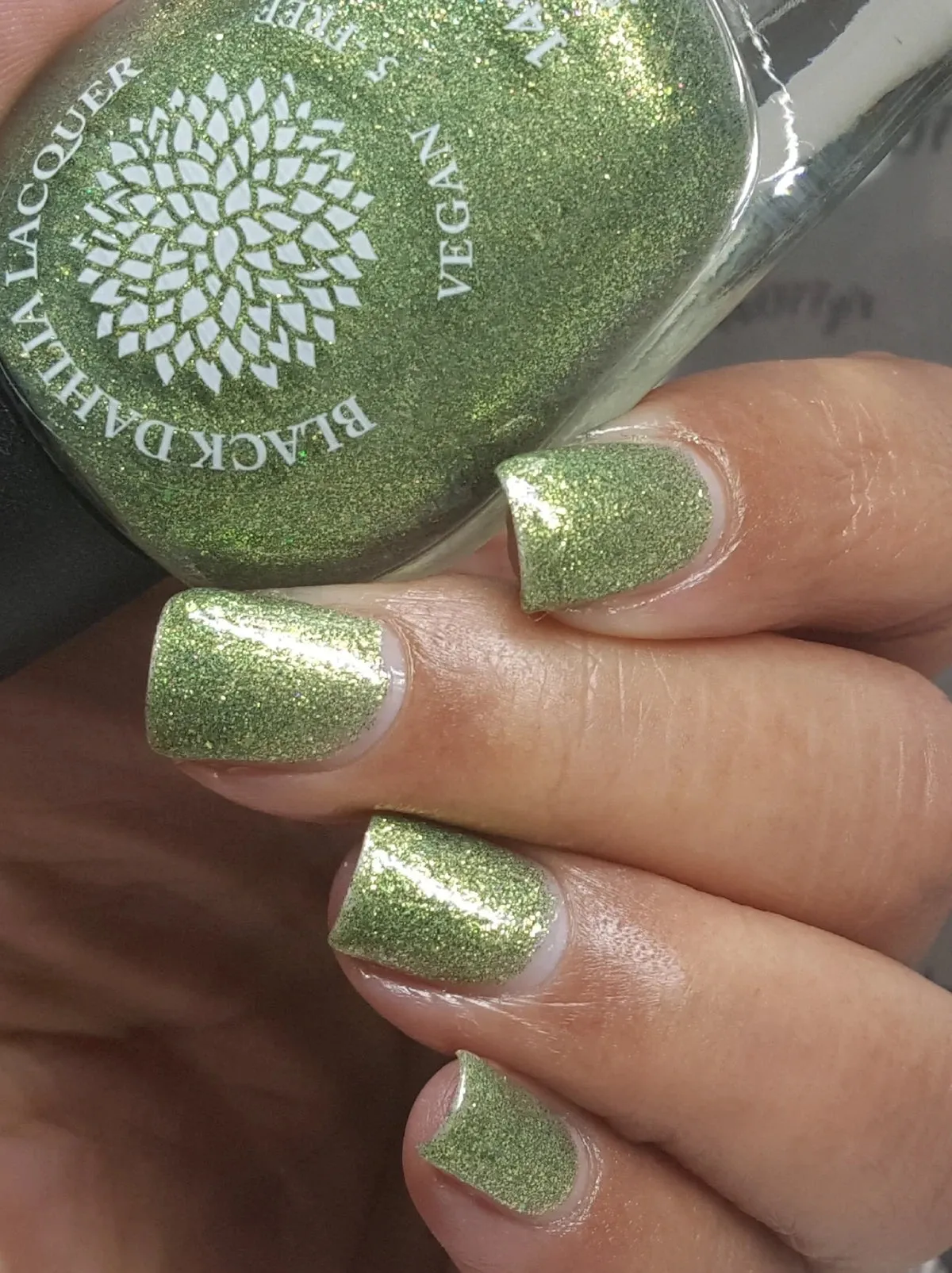 Black Dahlia Lacquer - Winter 2020 - Sphinx