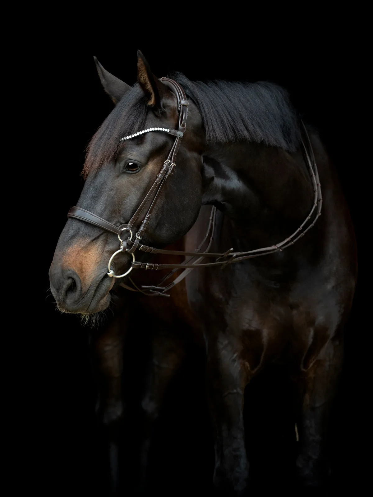 Catago Gentle kindstykker