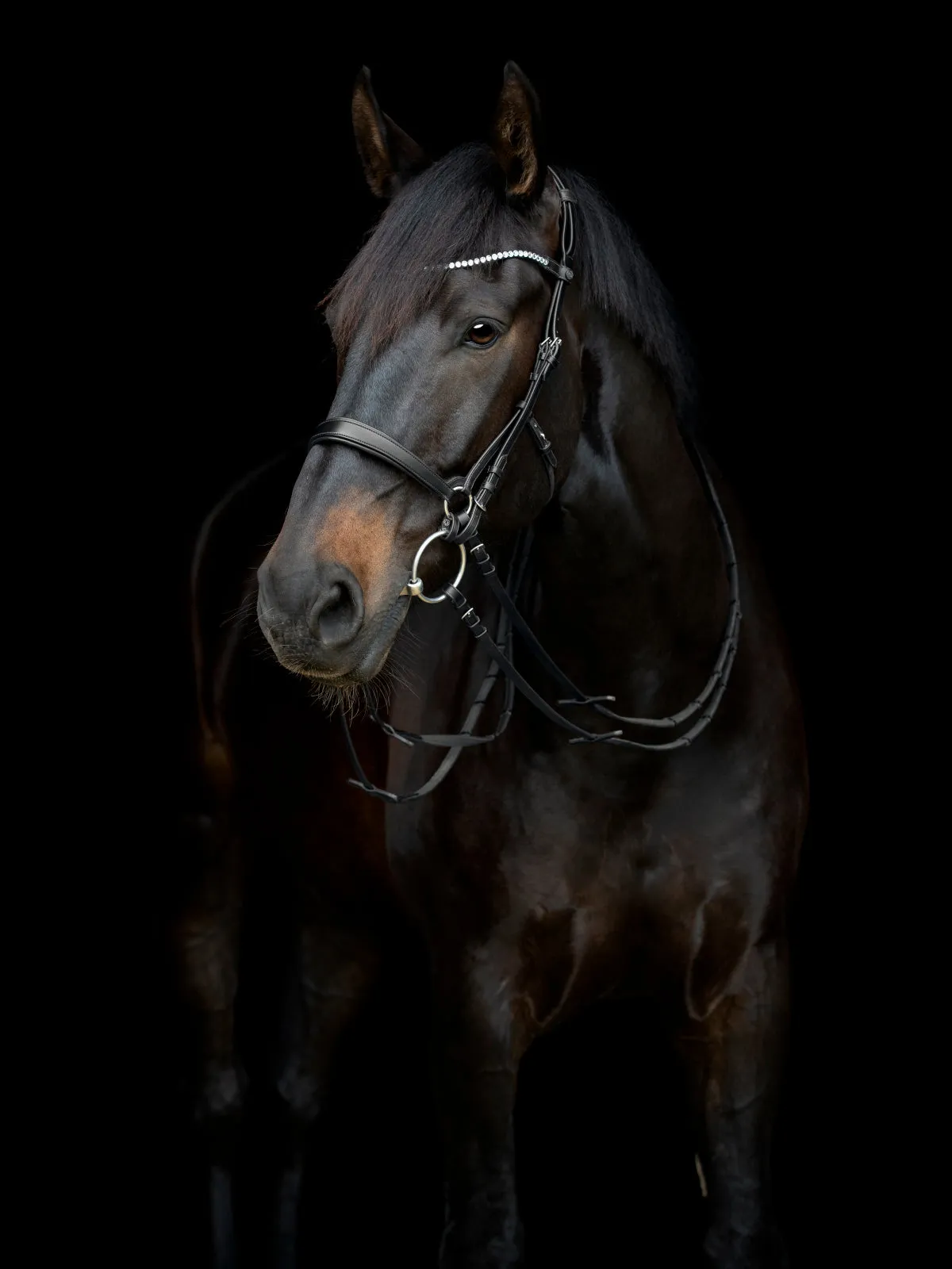 Catago Gentle næsebånd