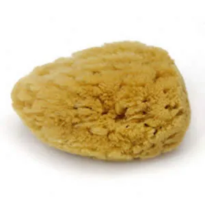 Dead Sea Sponges | Amish Heart | Natural, Sustainably Harvested & Eco-Friendly