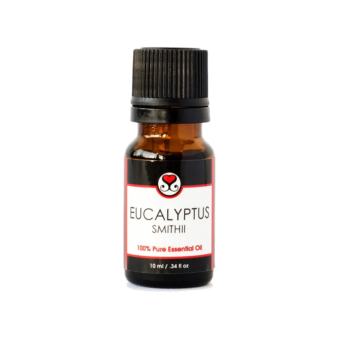Eucalyptus (Smithii) 100% Pure Essential Oil