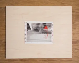 Fanny Gentle, "Study 5"