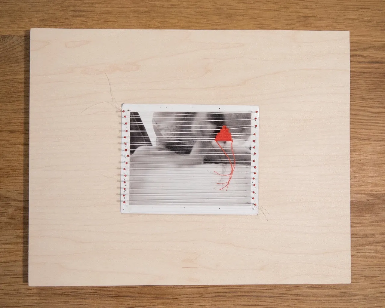 Fanny Gentle, "Study 5"
