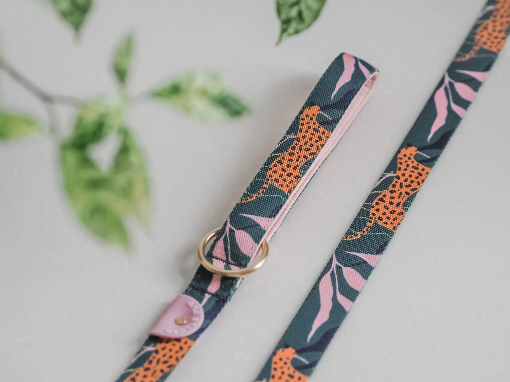 Gentle Pup - Coco Congo Dog Leash