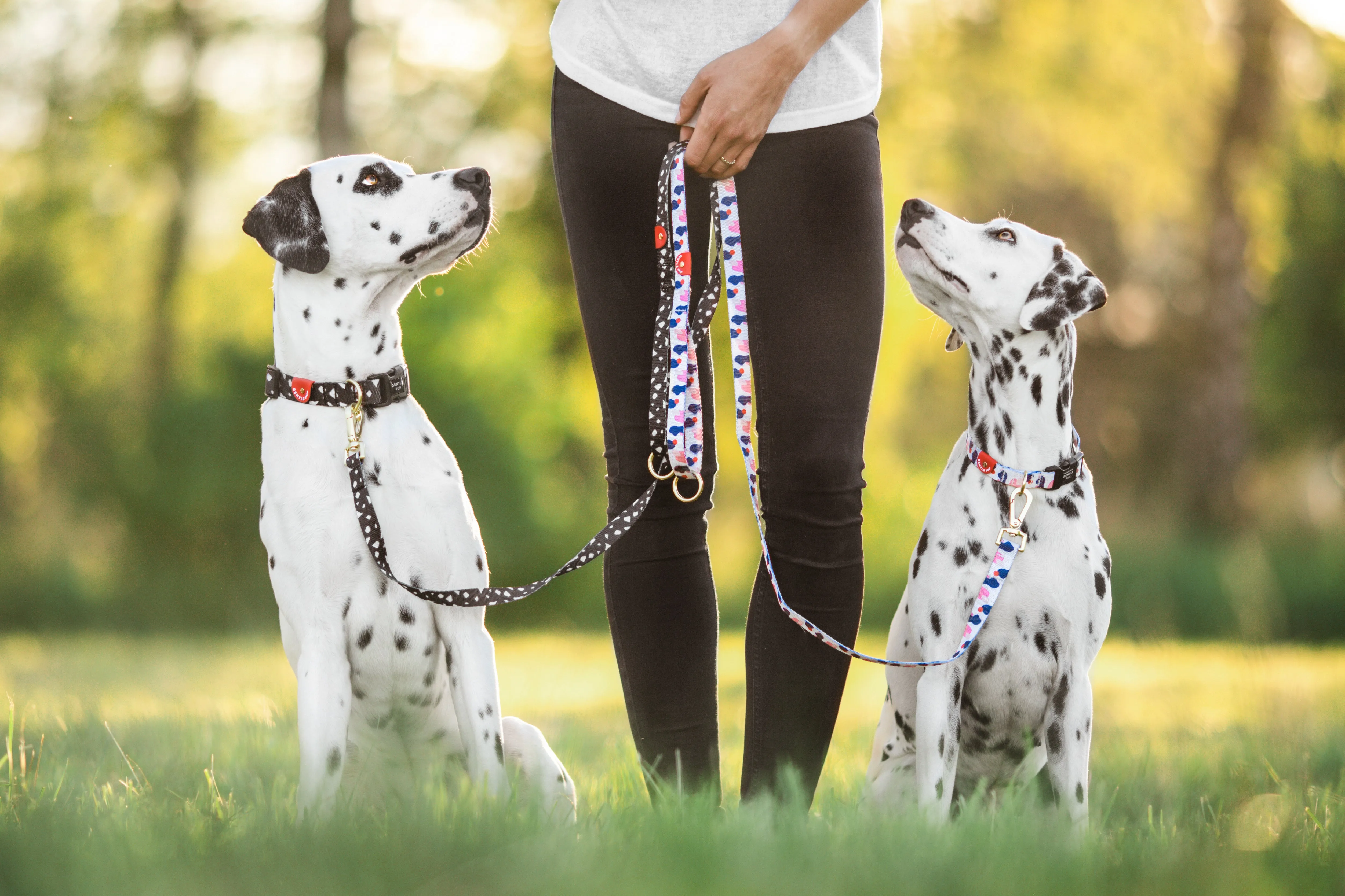 Gentle Pup - Lovely Leia Leash