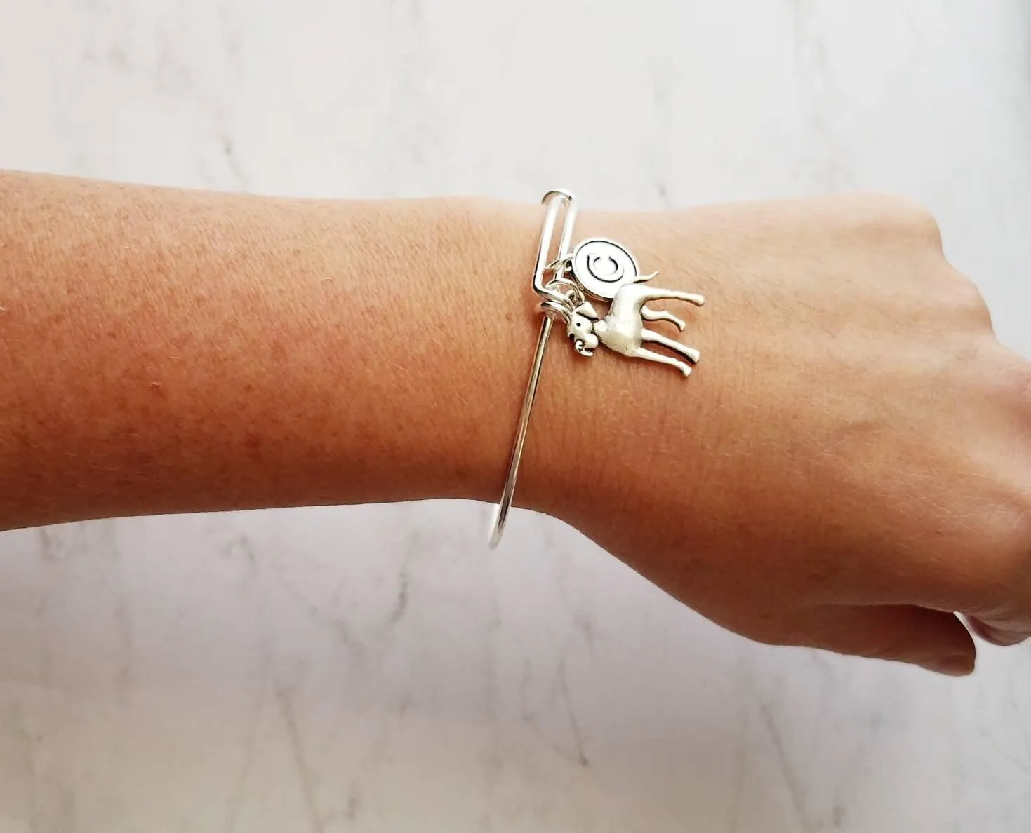 Great Dane Charm Bracelet - silver adjustable bangle double loop pet dog - personalized letter initial monogram - gentle giant huge fur baby