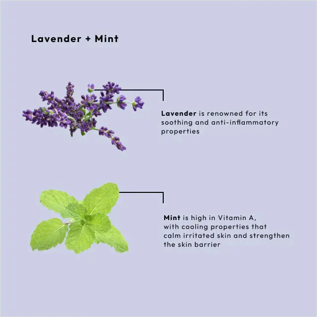 Lavender   Mint Dead Sea Salt Soak