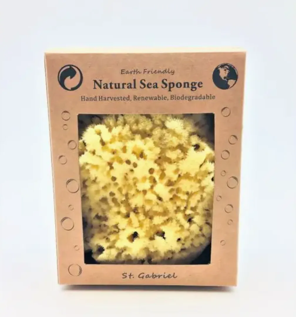NATURAL SEA SPONGE