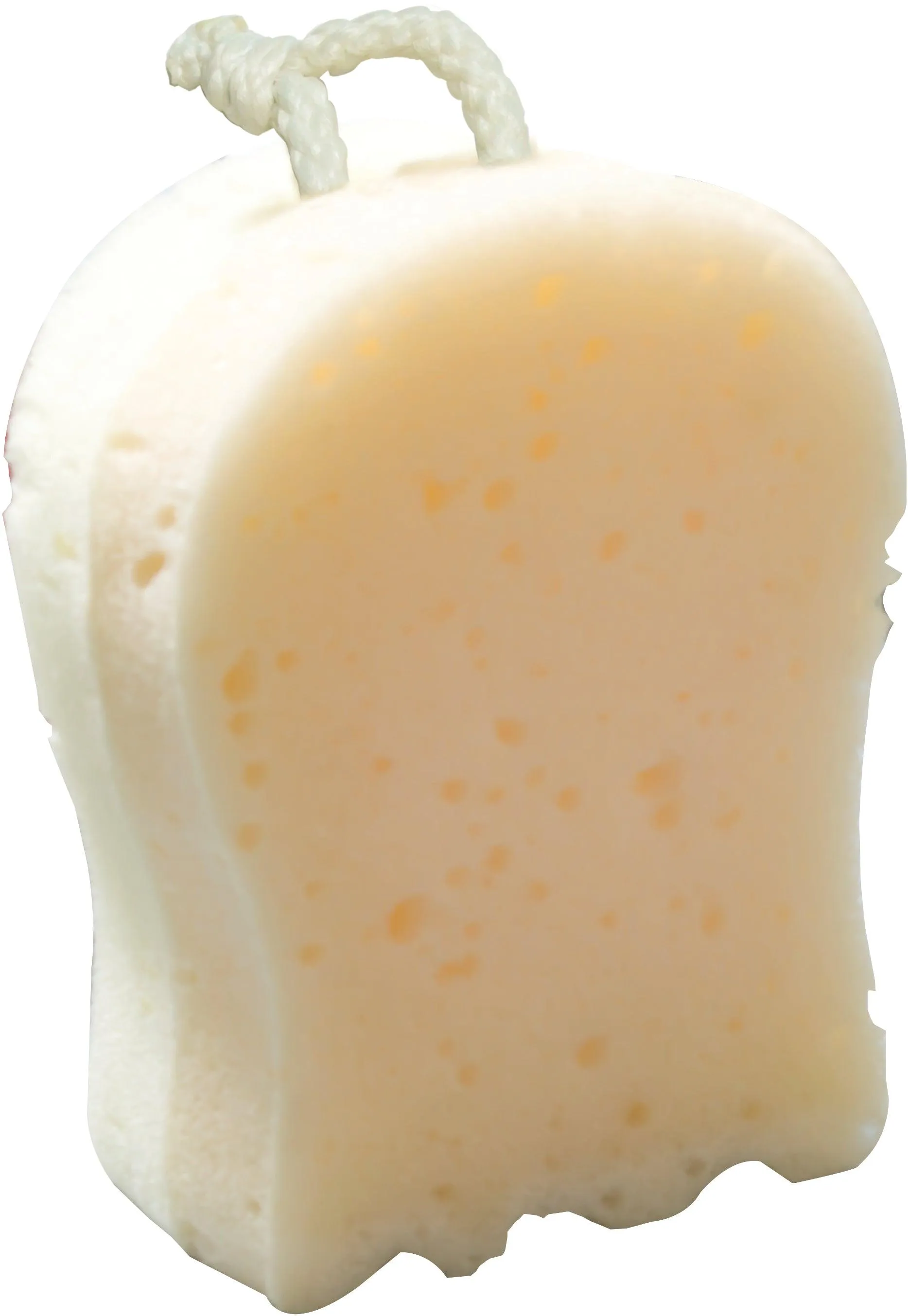 Optimal Bath Sponge Normal