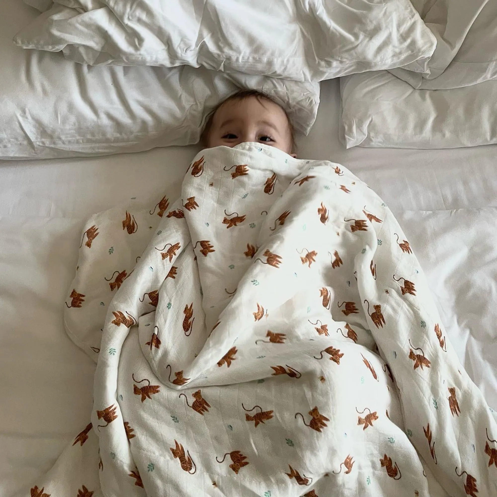Tiger Blanket