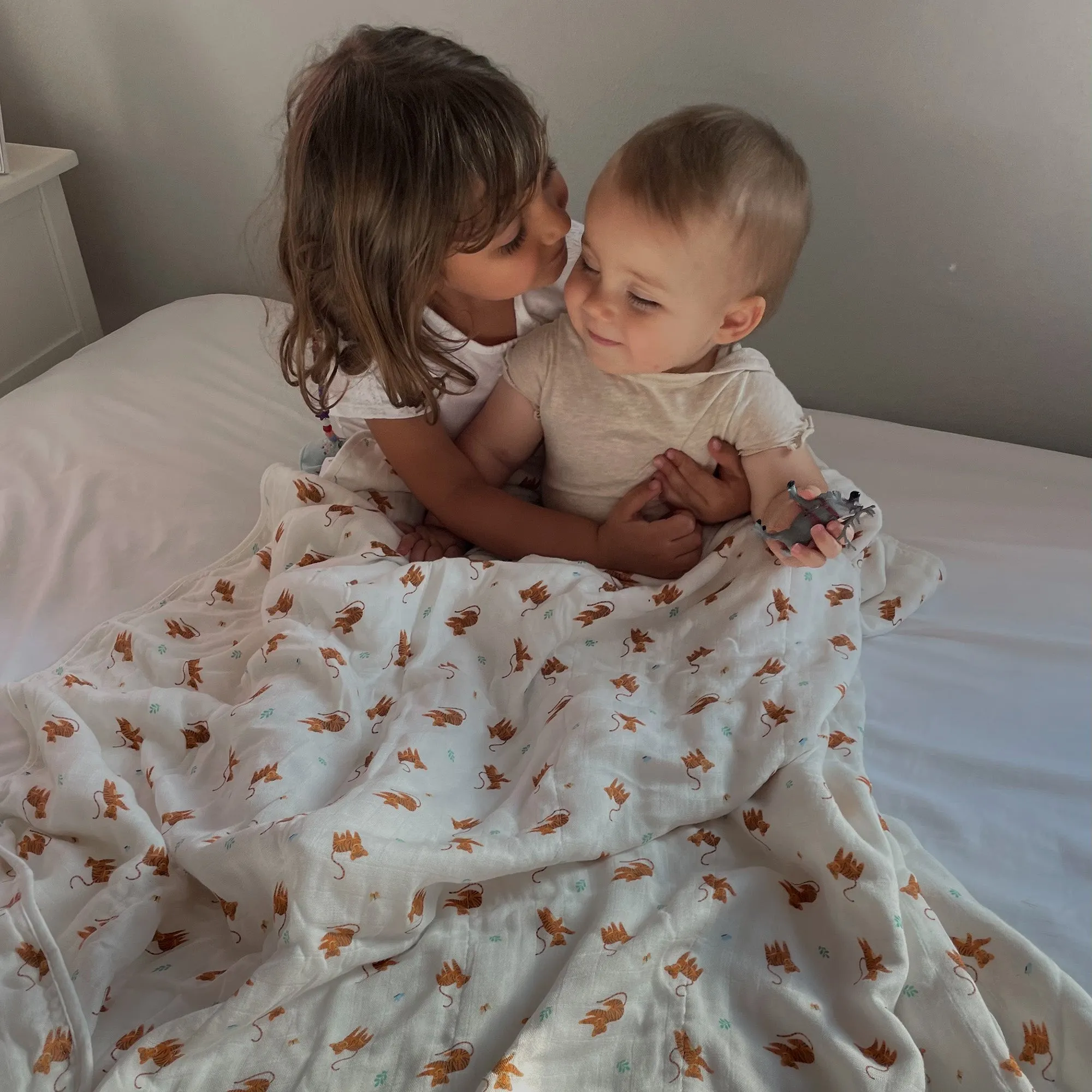 Tiger Blanket