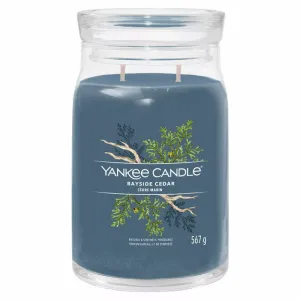 Yankee Candle Signature Large Jar Bayside Cedar 567g